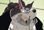 Jabra (One Piece) ate the In Inu no Mi, Model: Wolf Zoan Fruit giving him a werewolf-like physiology.