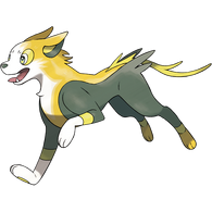 Boltund (Pokémon)