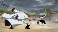 …clashed evenly with his follow Yonko and the Strongest Man in the World, Whitebeard…