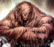 Walter Langkowski (Marvel Comics) took the name Sasquatch after an experiment gave him the ability to transform into one.