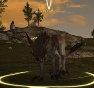 Padfoot (Final Fantasy)