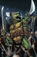 Leonardo (Teenage Mutant Ninja Turtles), the leader of the four Ninja Turtles.