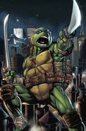 Leonardo (Teenage Mutant Ninja Turtles)