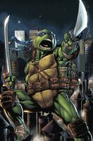 Leonardo (Teenage Mutant Ninja Turtles), is an expert in the ways of kenjutsu. He is able to make use of his daito and shoto for incredible offense and defense.