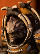 Nakmor Drack (Mass Effect).png (2.42 MB) Nakmor Drack (Mass Effect) is over 1,000 years old (old even for a Krogan) and beginning to feel his age yet is still one of the greatest warriors in 2 galaxies.