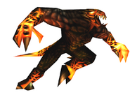 The Fireborn (Turok) has been genetically and magically conditioned to be heat-resistant, able to even walk-through molten lava without harm.