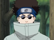 Shino Aburame.png (979 KB) Shino Aburame (Naruto) use his analytical and observational skills to make shrewd decisions with pinpoint reasoning.