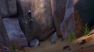 Unlike her mate, Diego, Shira (Ice Age) is able to dig her claws into the side of cliffs to climb up the walls.