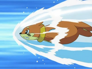 Buizel (Pokémon) generates water by using his "Aqua Jet" move.