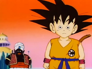 Goku's doll (Dragon Ball) is an animated clay clone of Goku created by Mr. Popo, possessing all of Goku's abilities with none of the restraint or distractions.