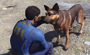 Dogmeat (Fallout 4) cannot die