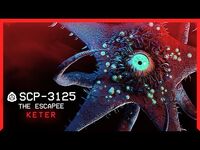 SCP-3125 │ The Escapee │ Keter │ Cognitohazard SCP-2