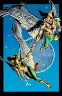 Hawkman and Hawkgirl (DC Comics)