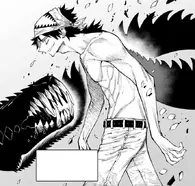 Schmidt Zachmann.webp (111 KB) ...Schmidt Zachmann...