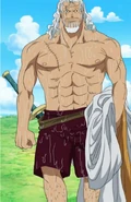 Rayleigh shirtless.png (998 KB) While over 70 years old, Dark King Silvers Rayleigh (One Piece) is still one of the strongest people in the world.