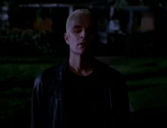Vampires like Spike (Buffy the Vampire Slayer) can easily sense and track blood by smell.