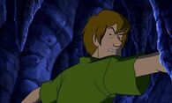 Norville "Shaggy" Rogers (Scooby Doo)