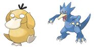 Psyduck and Golduck (Pokémon)