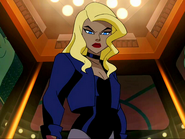 DC Animated Universe Black Canary