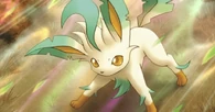 Leafeon (Pokémon)