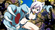 ...and Lisanna using Animal Soul.
