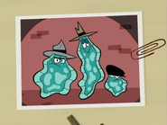 The Amoeba Boys