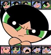 Pictures of Buttercup.jpg