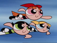 Insect Inside/Gallery | Powerpuff Girls Wiki | Fandom