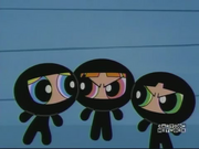 The Powerpuff Girls in Black Catsuits