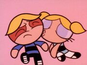 Bubbles kisses Boomer.jpg