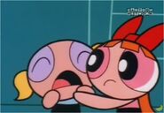 Bubbles cries, when she, Blossom and Buttercup found out that the professor was kidnapped, Blossom tries to comfort her