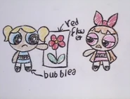 Bubbles's version of the story with her showing a picture of a flower with blossom saying something about it