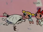 Bubbles start pillow fighting with Mojo.