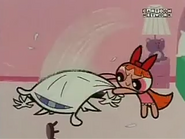 Blossom start pillow fighting with Mojo.