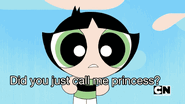 Don't call me princess!