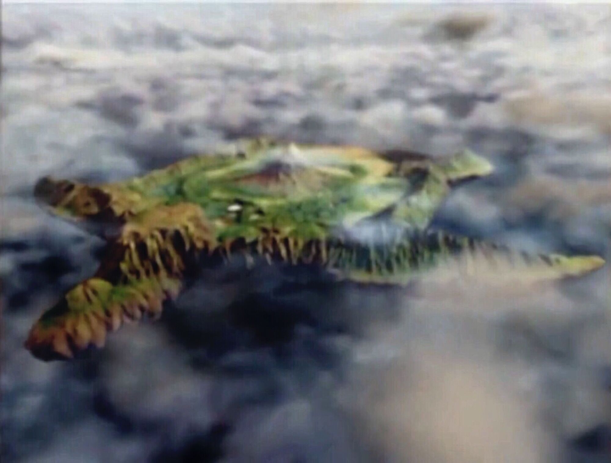 Animarium (Wild Force) | RangerWiki | Fandom Animarium (Wild Force) | RangerWiki | Fandom