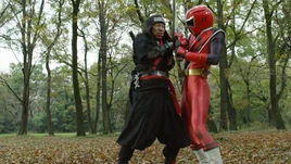 Ninninger 44