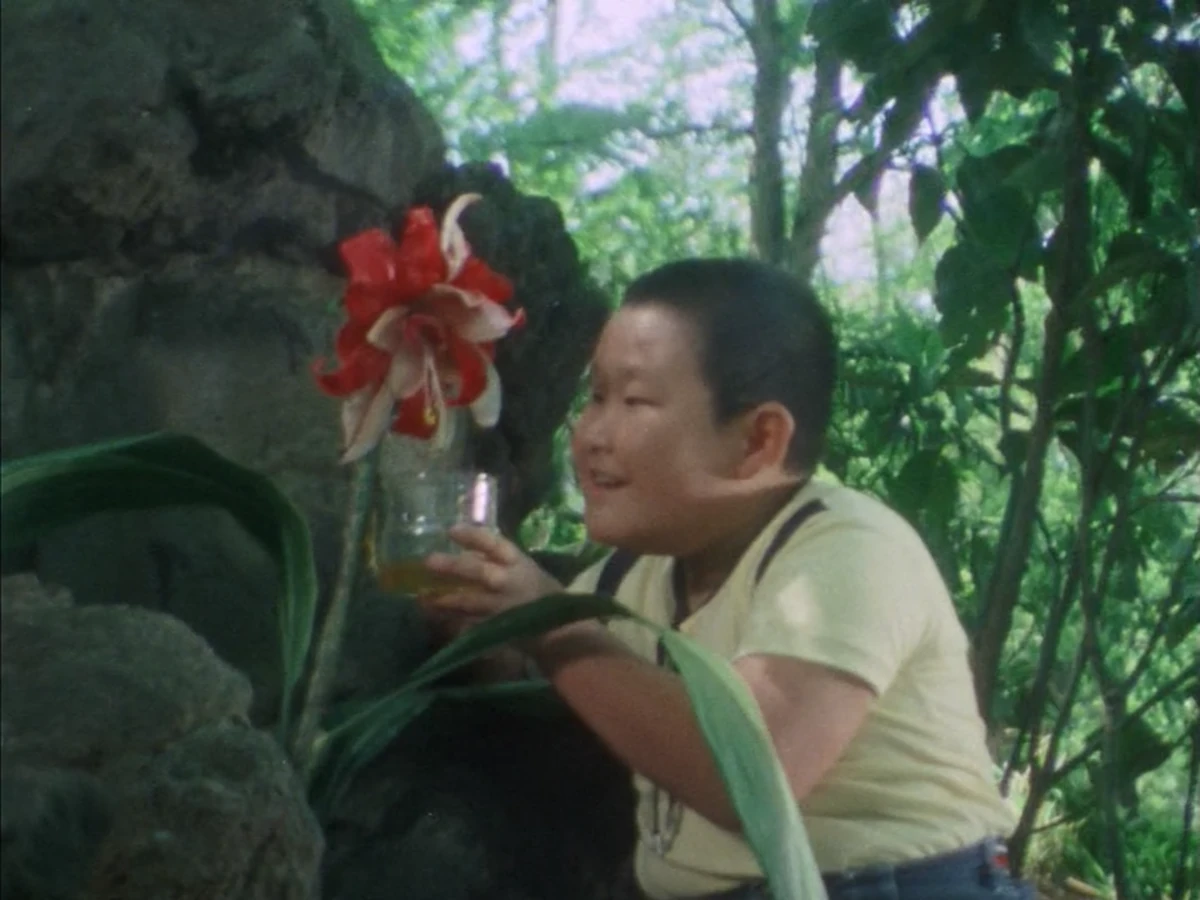 Ep. 20: Gorilla Boy's Great Riot | RangerWiki | Fandom