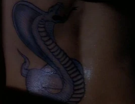 Normal VIEWINGGLOBE-prlr-cotc-0824