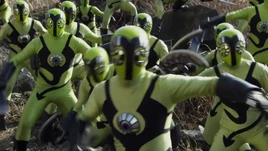 Beebe Soldiers Profile