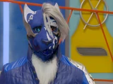 Garu