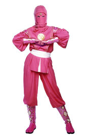 Mmpr-pinkninja