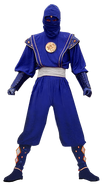 Mmpr-blueninja