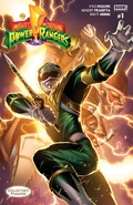 Collector's Paradise variant cover