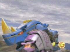 WF Rhino and Armadillo.jpg
