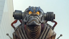 Dumbbell Banki Profile