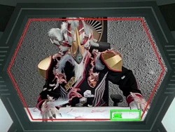 Numa-O's ripped feathers.