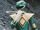 Go Green Ranger Go