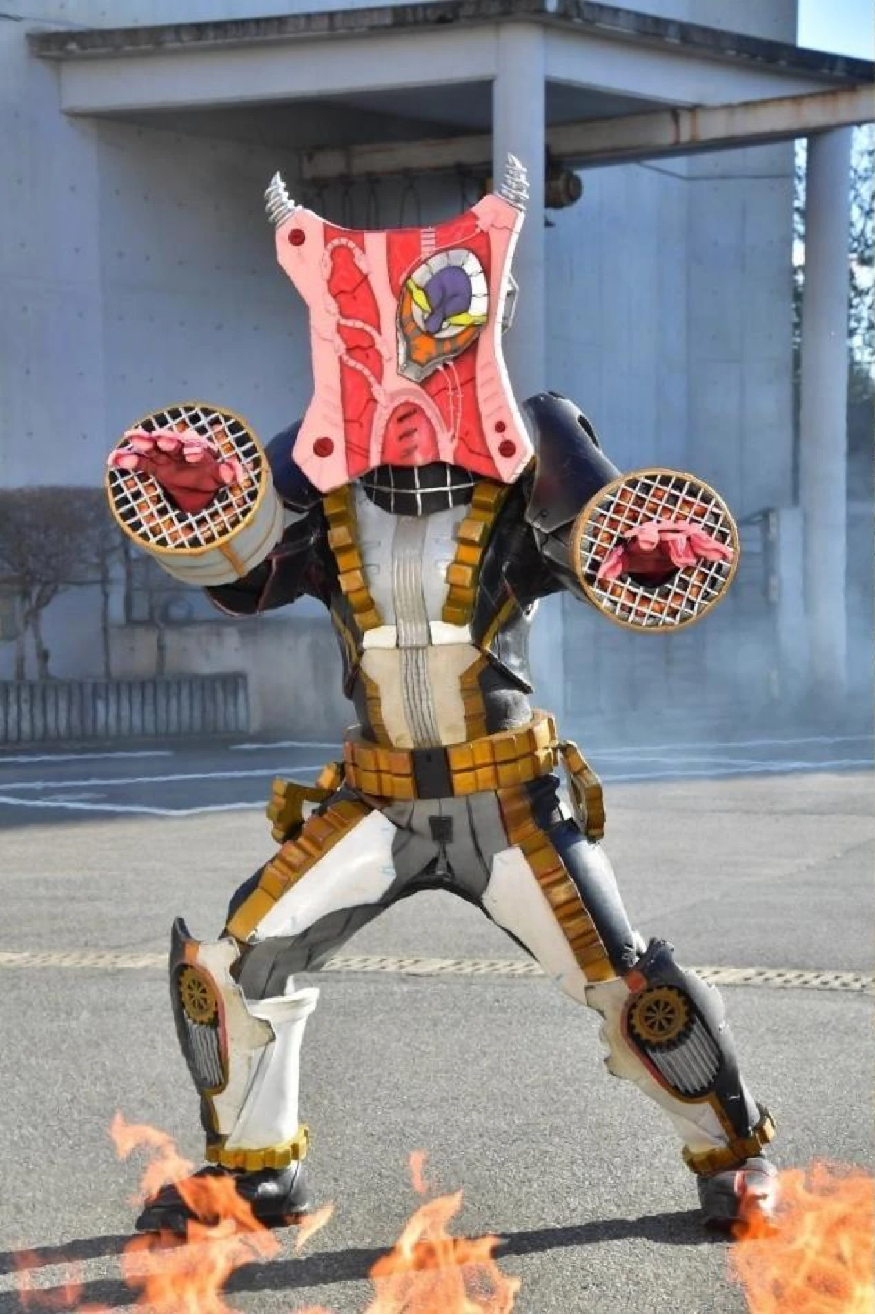 キュウ　マルデヌベス 楽天市場】【現品】【マルデヌベス ロストラータver】ユッカ