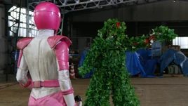 Lupinranger VS Patranger 24